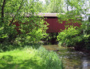 billie creek