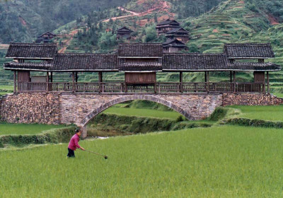 Chengyang #4