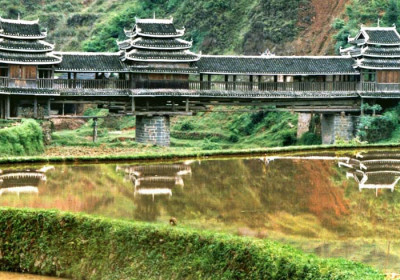 Chengyang #6