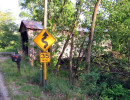davis farm