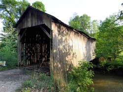 davis farm