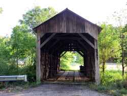 davis farm