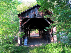 davis farm