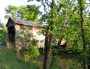davis farm