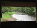 dreibelbis