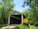 rush creek