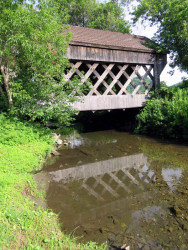 teago