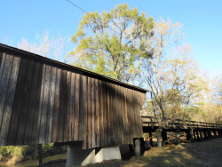 red oak creeka