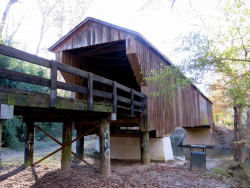 red oak creeka