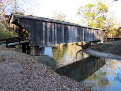 red oak creeka