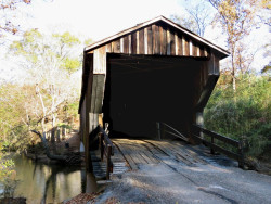 red oak creeka
